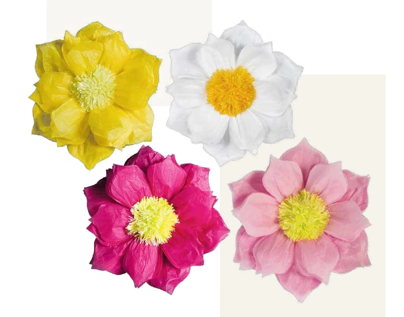 Pappersblomma 60cm