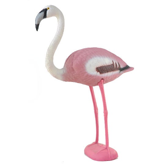 Flamingo rosa