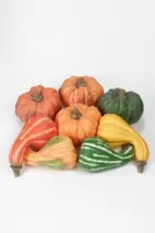 Pumpor 10-15cm
