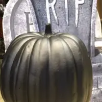 Pumpa halloween