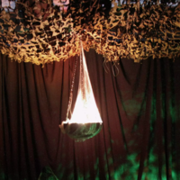 Dekoreld spindelväv