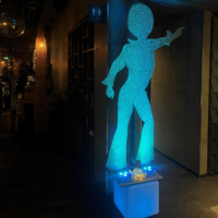 Siluettfigur Disco Lady