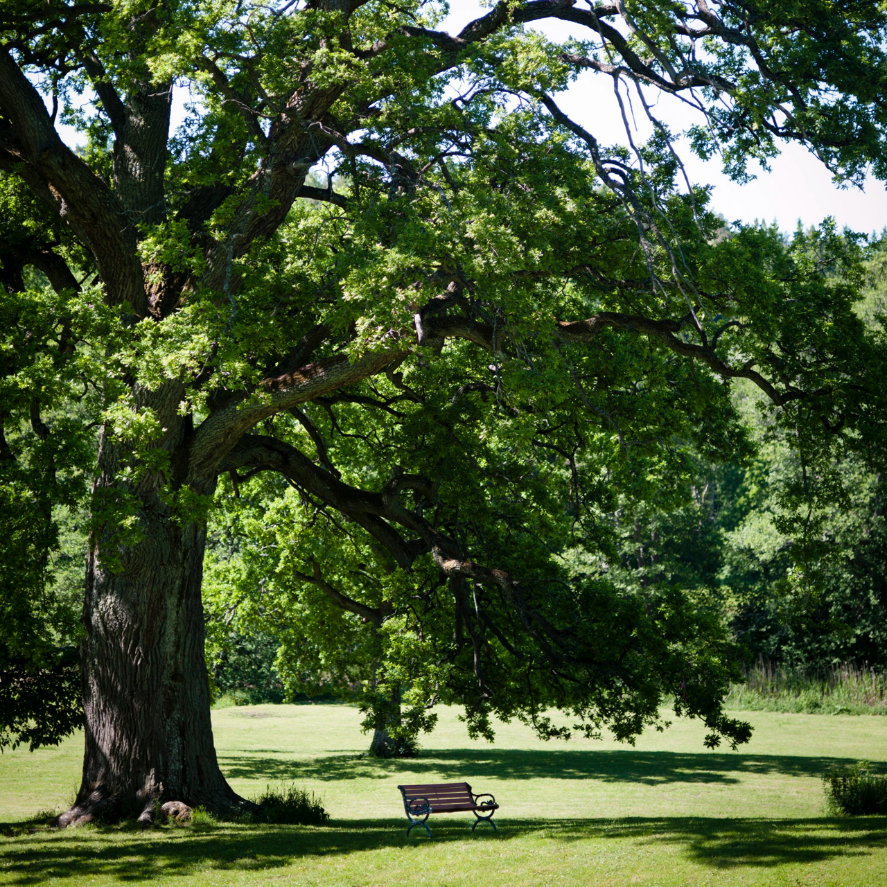 Parkbänk Byarum