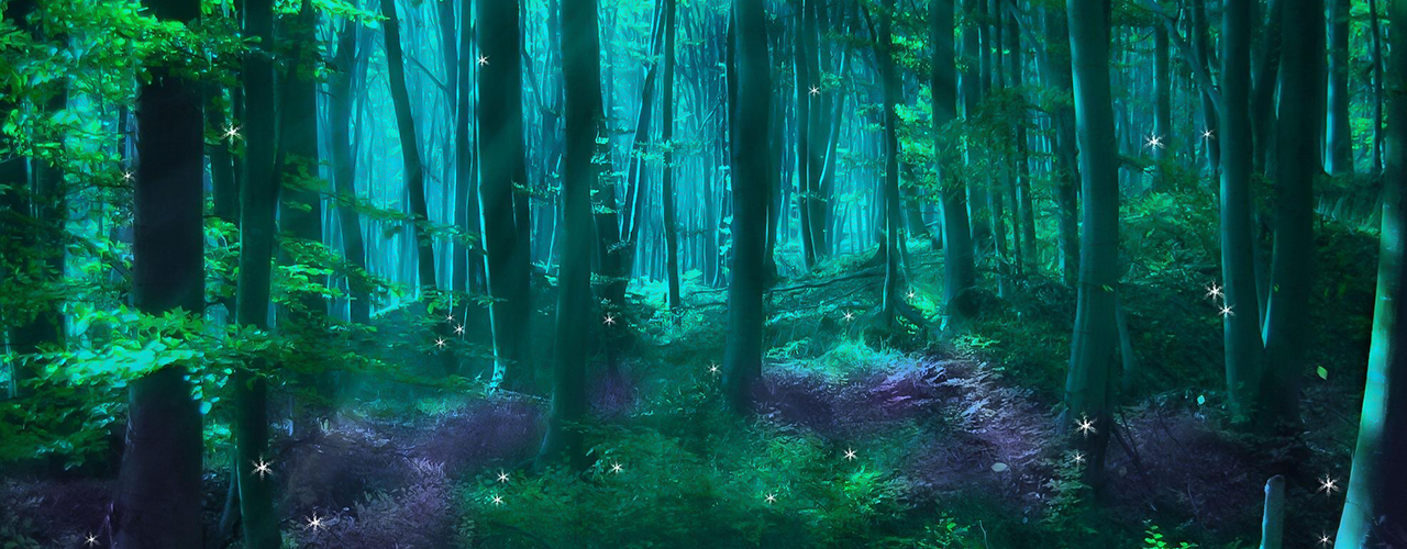 Enchanted Forest