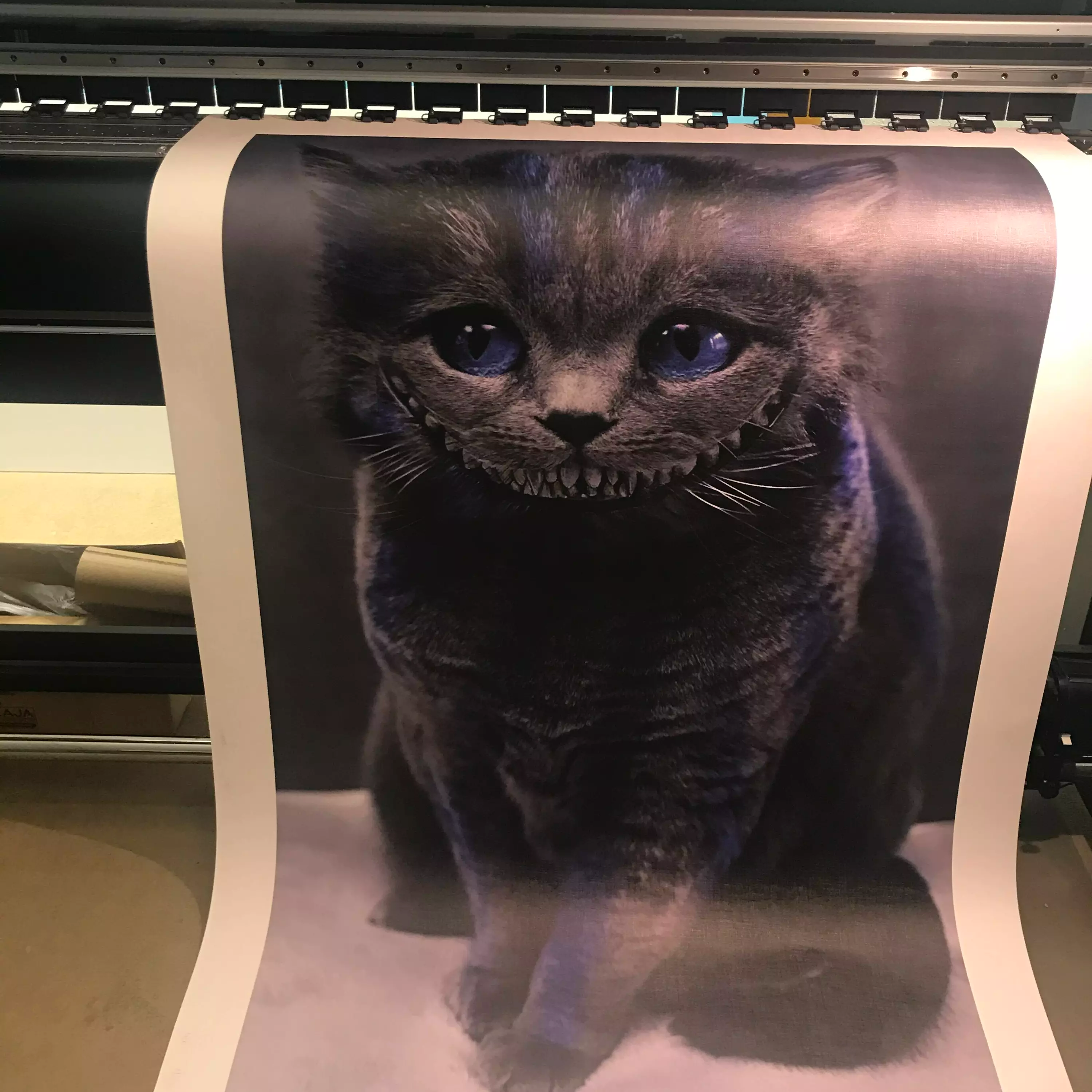 Alice i Underlandets katt