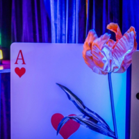 Spelkort Hjärter Ess 80 x 120cm