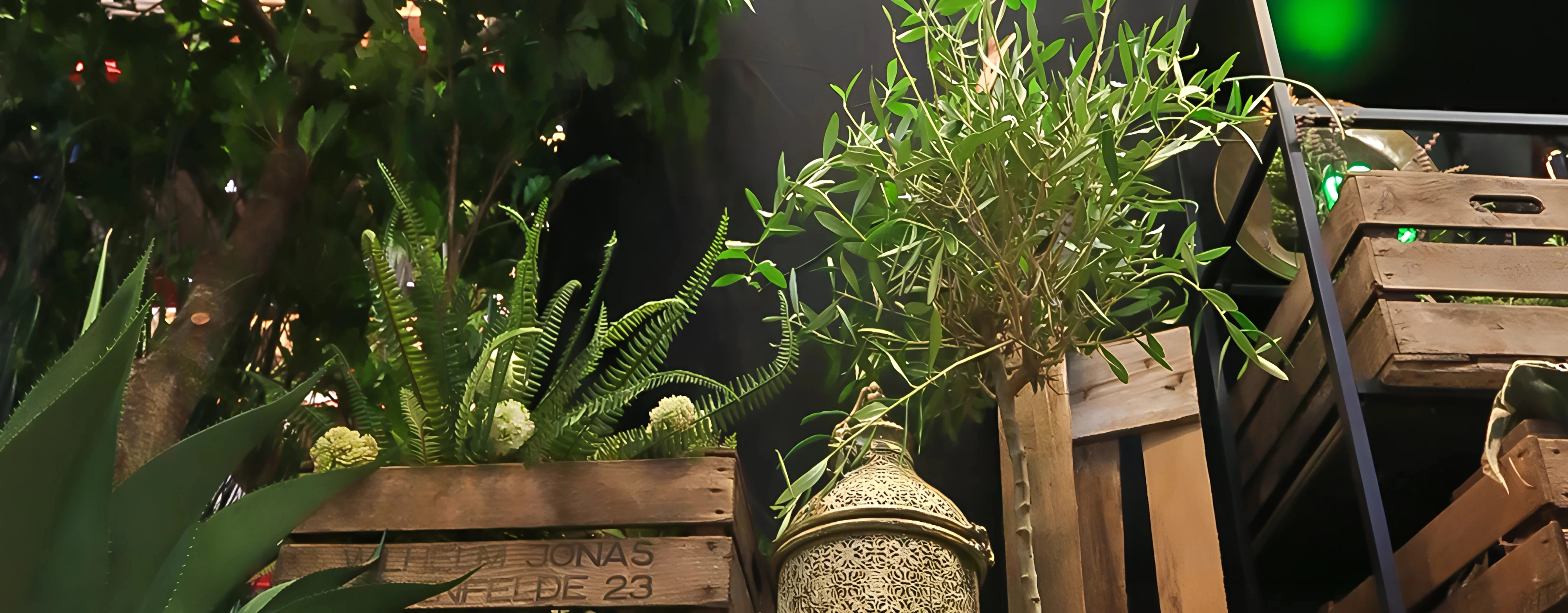 Urban Garden