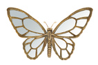 Spegel Fjäril