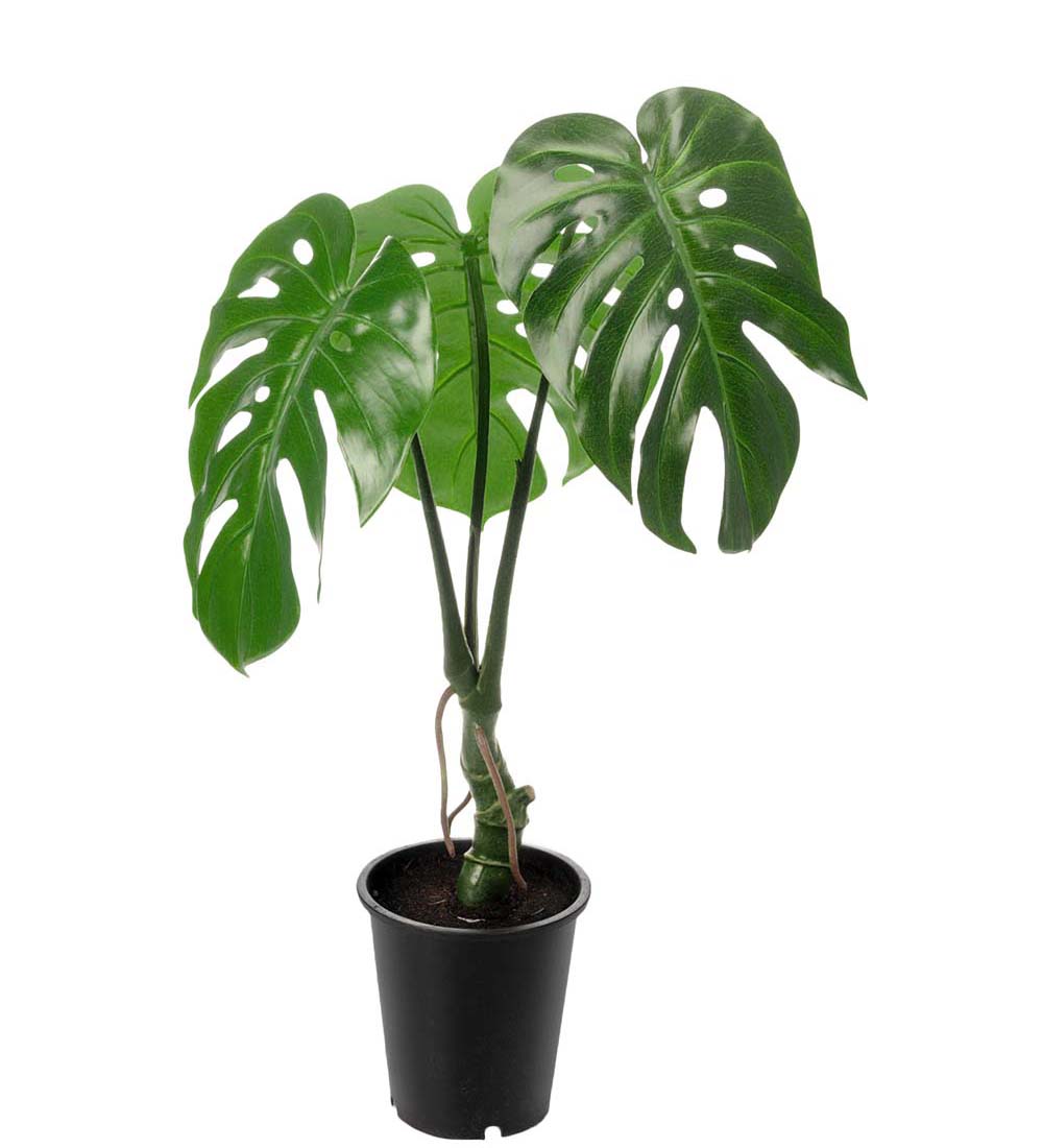 Monstera konstväxt