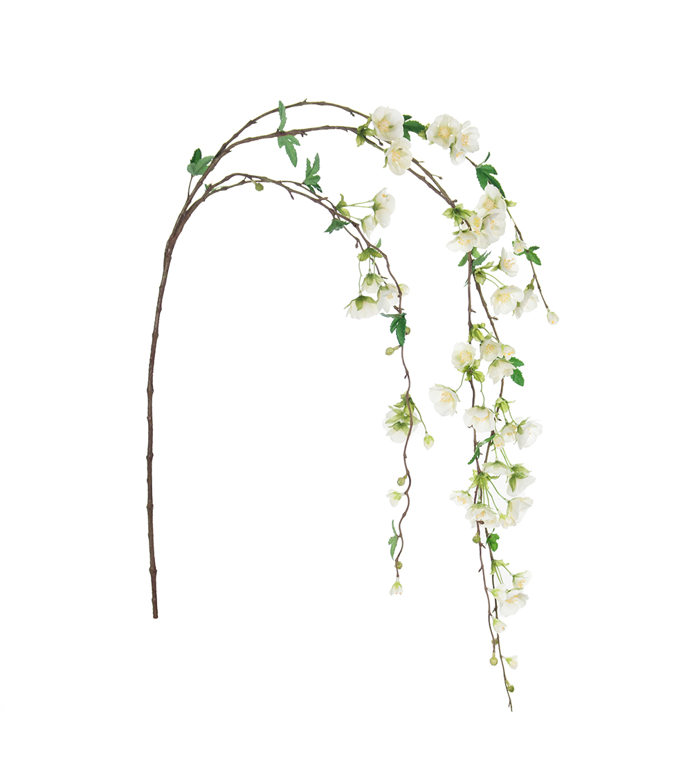 Malva kvist 160cm