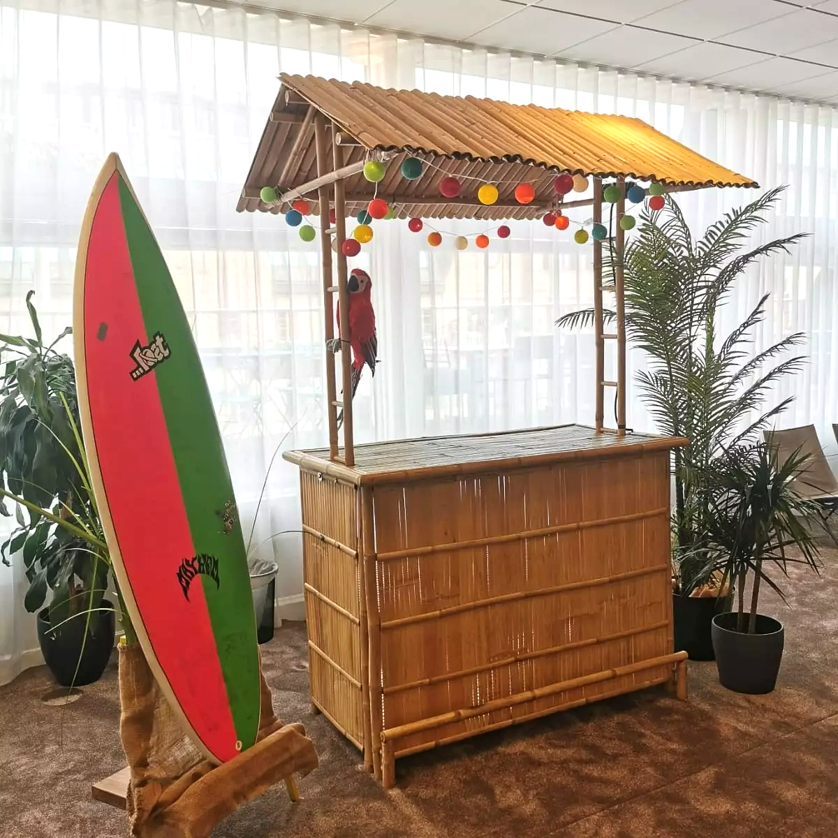 Bardisk bambu Tropical