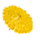 Paraply blommor 30cm