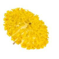 Paraply blommor 30cm