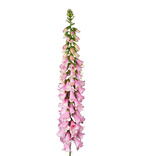 Snittblommor konst