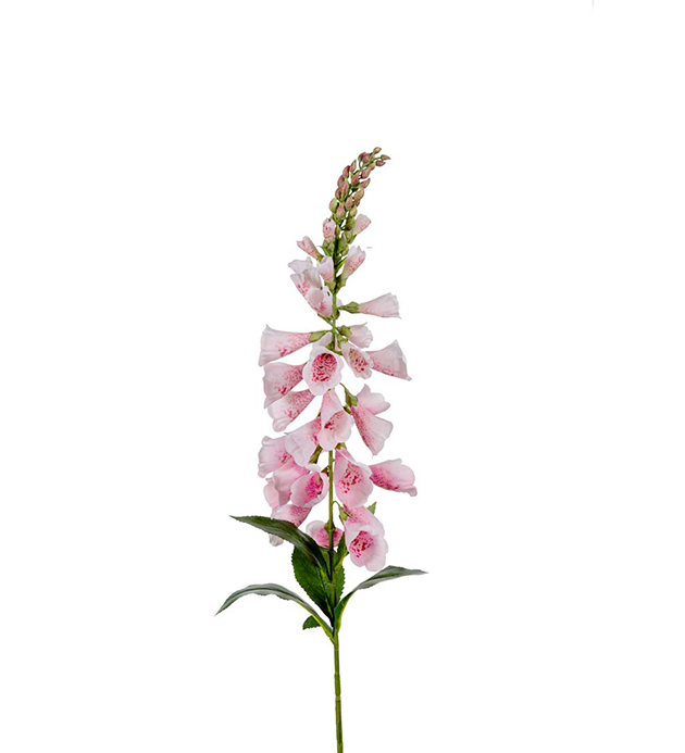 Snittblommor konst