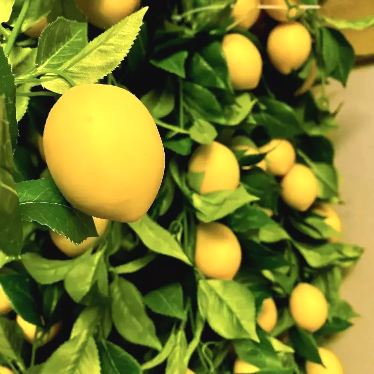 Citrongirlang