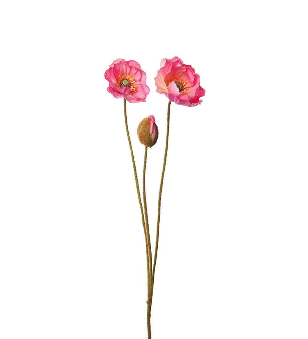 Snittblommor konst