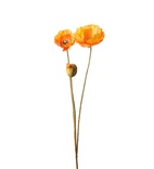 Snittblommor konst