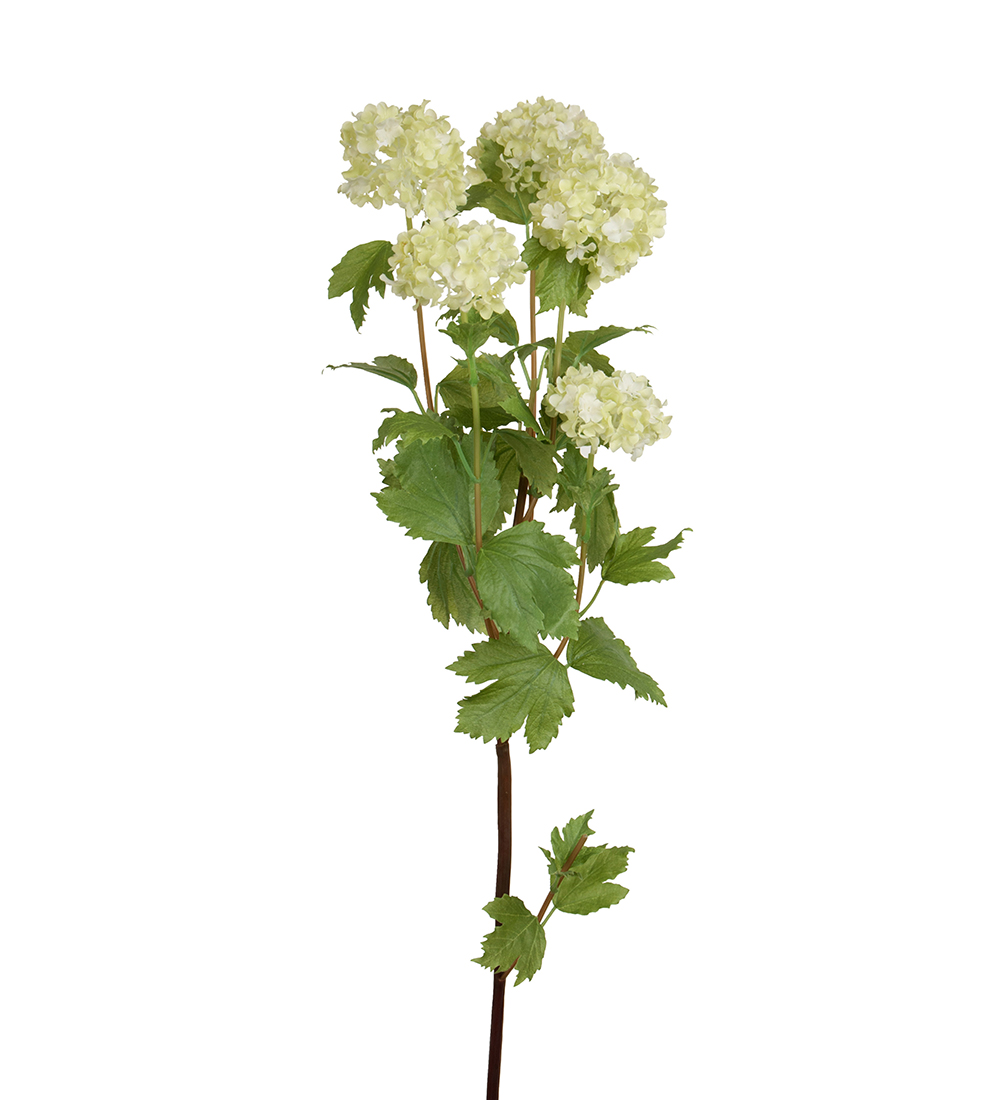 Snittblommor konst
