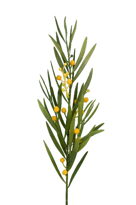 Snittblommor tropiska