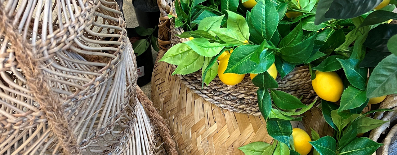 Lemon Garden