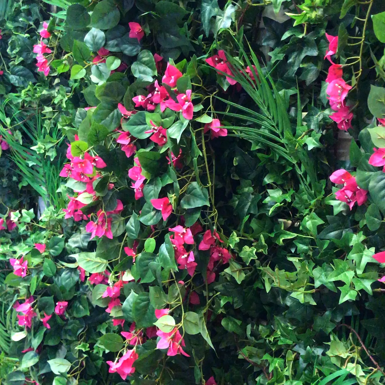 Snittblommor tropiska