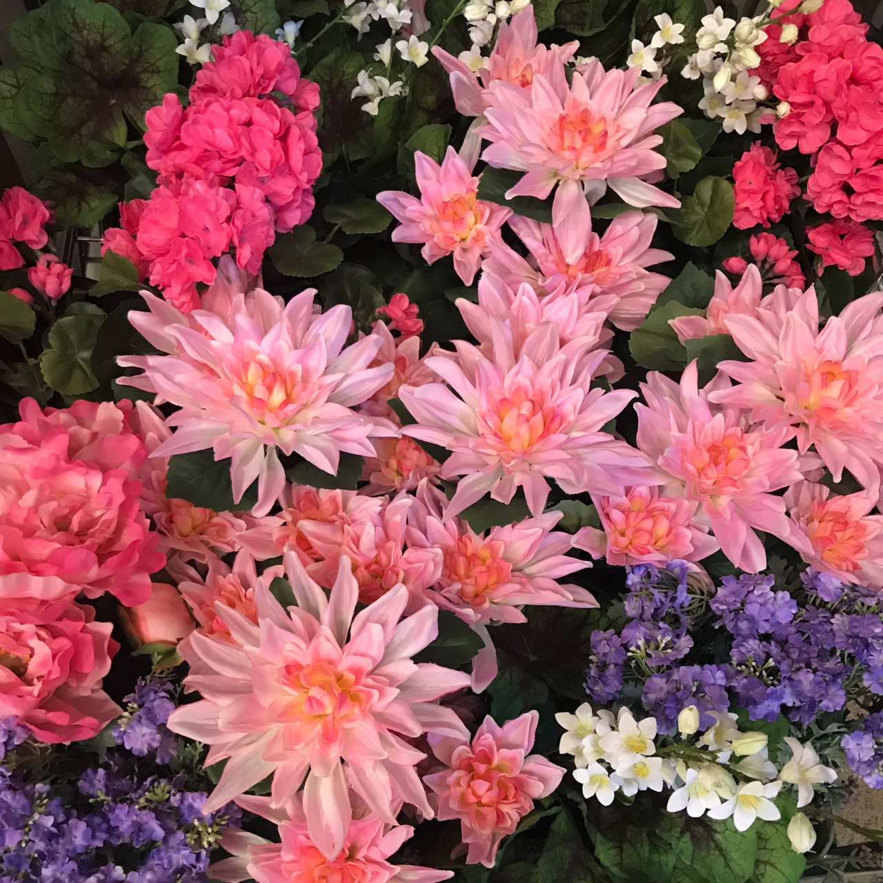 Blommande krukväxter konst