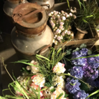 Blommande krukväxter konst