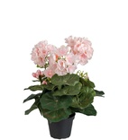 Blommande krukväxter konst