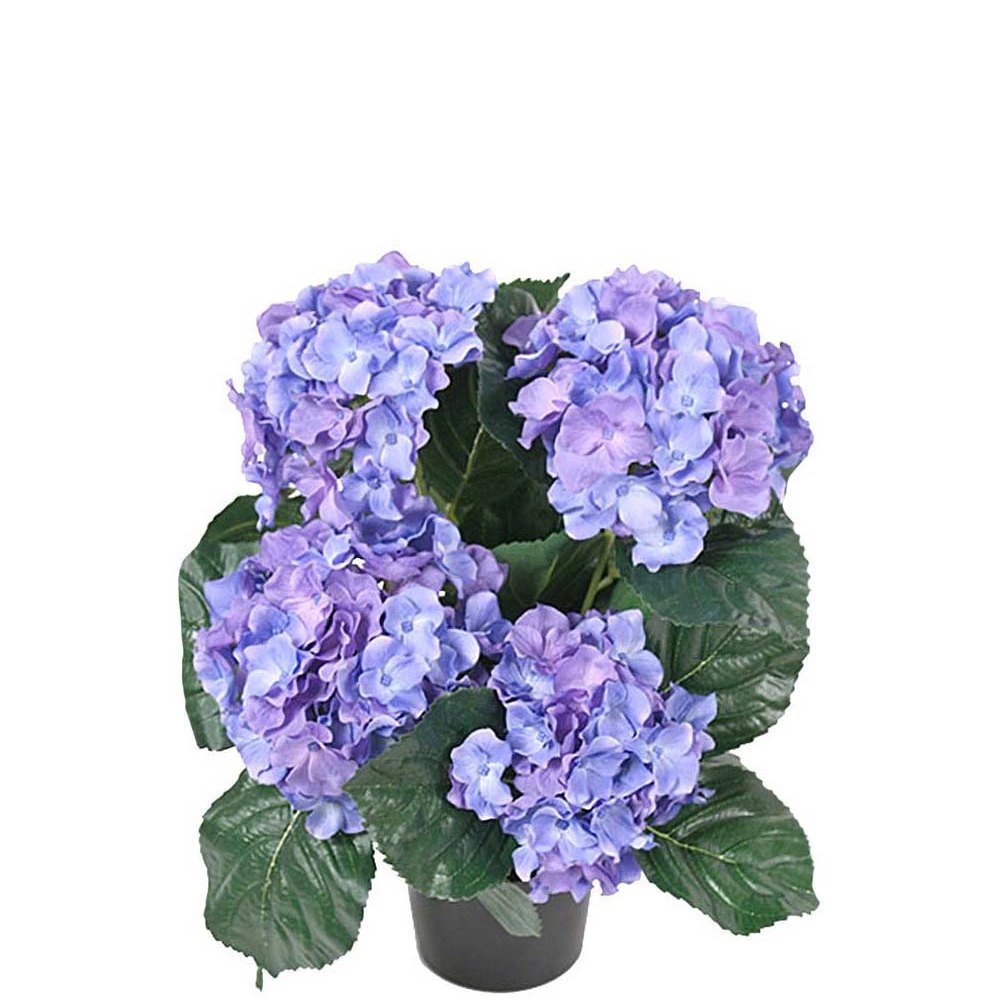 Blommande krukväxter konst