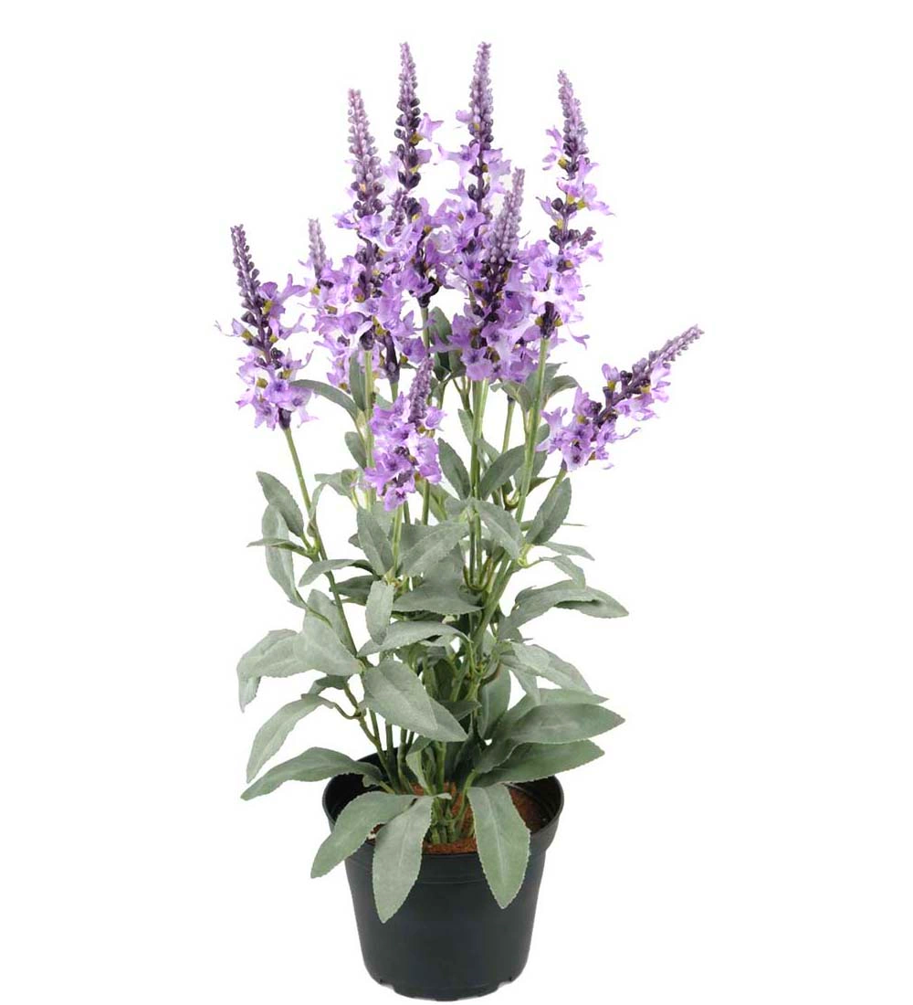 Blommande krukväxter konst