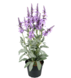 Blommande krukväxter konst