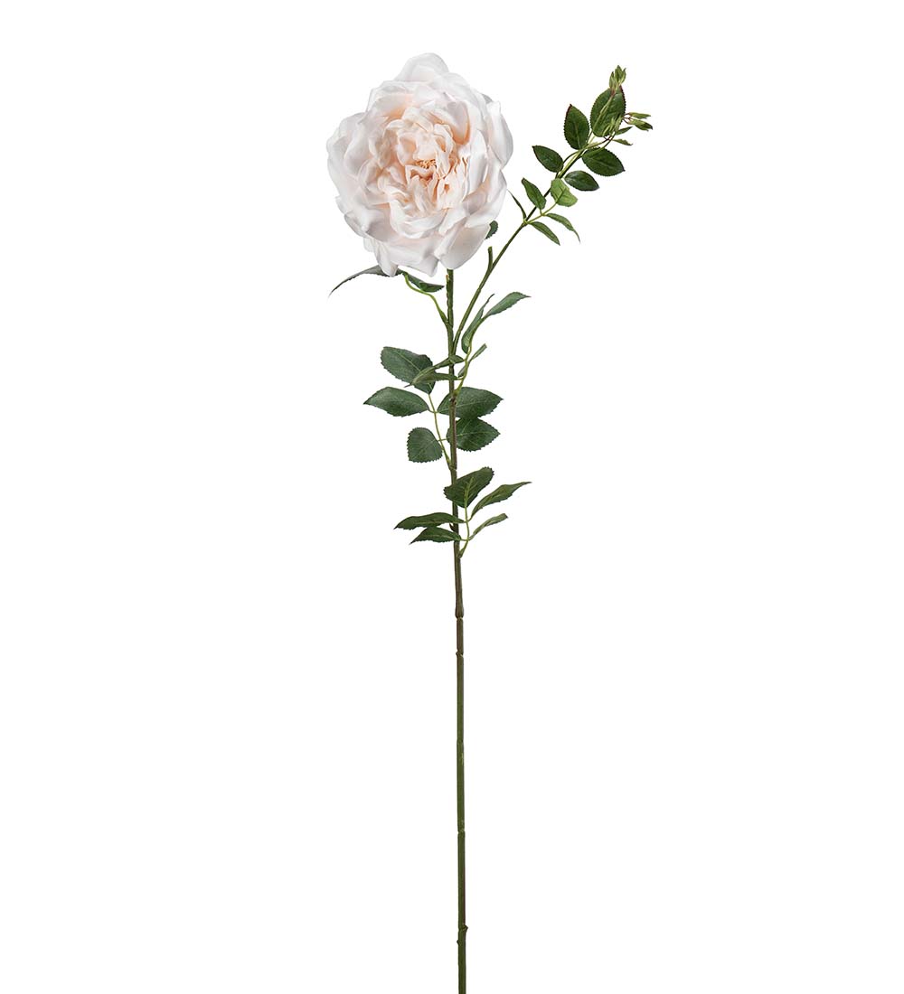 Ros ljusrosa 90cm
