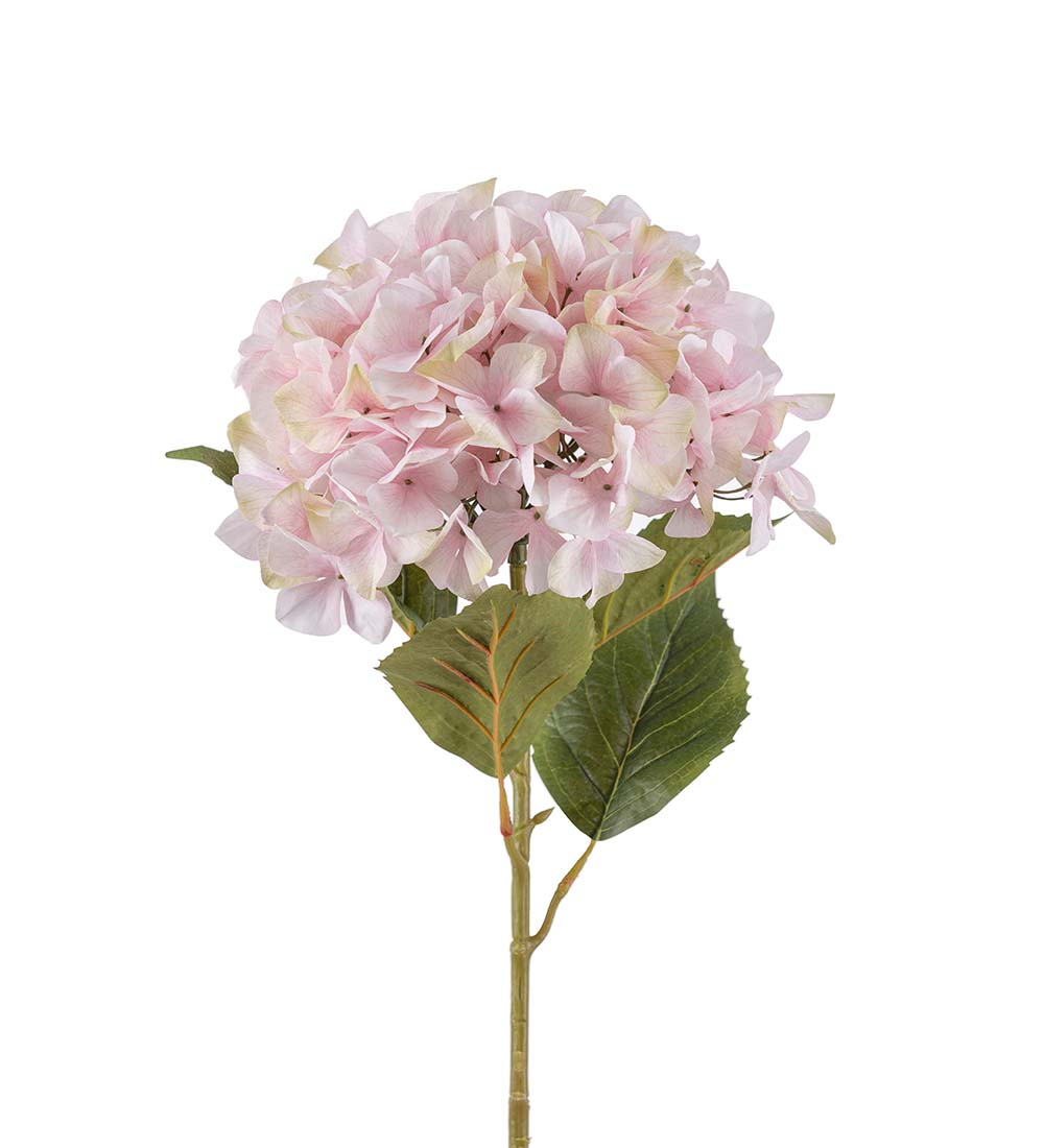 Snittblommor konst