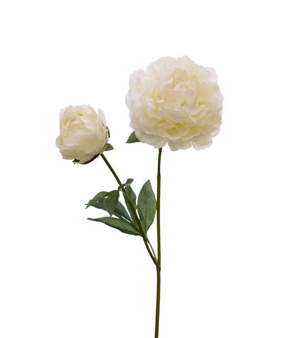 Snittblommor konst