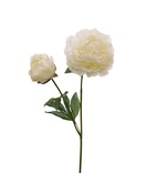 Snittblommor konst