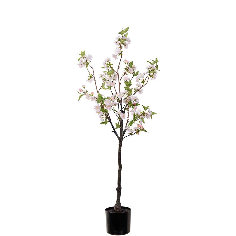 Körsbärsblom 120cm