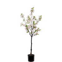 Körsbärsblom 120cm