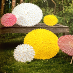 Paraply blommor 30cm