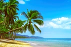 Backdrop Paradise Beach