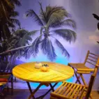 Backdrop Paradise Beach