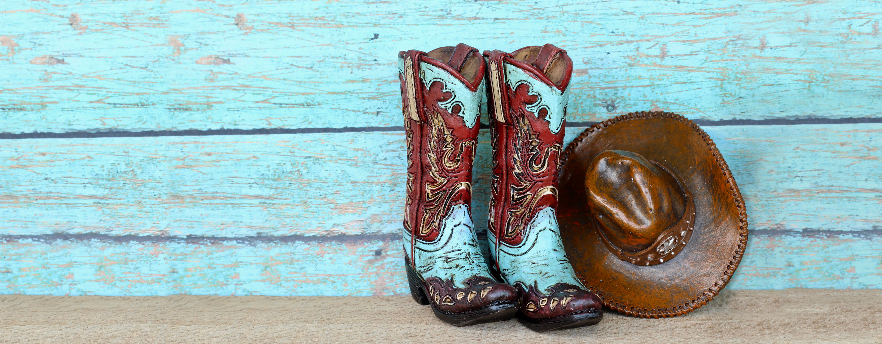 Cowboys & Cowgirls Party