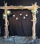 Portal björkar