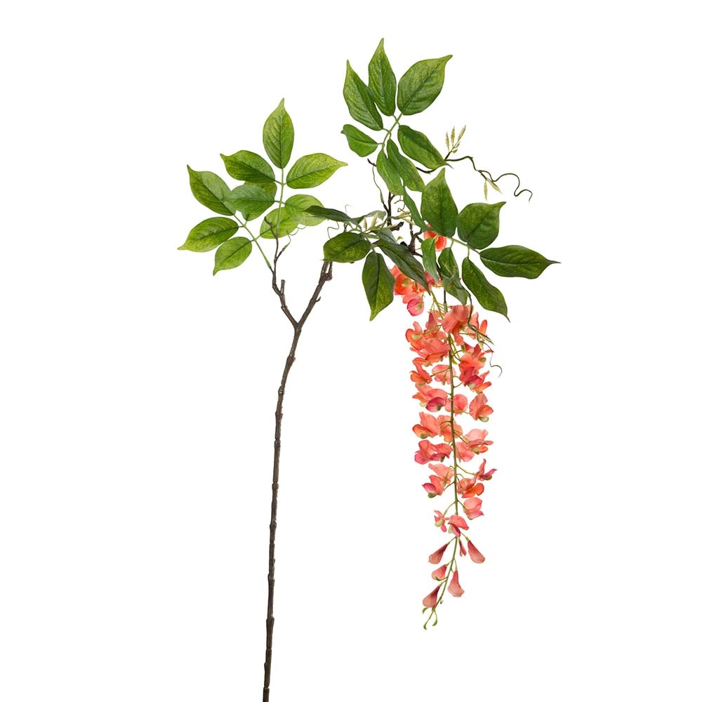 Visteria gul & orange