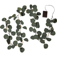 Eucalyptus girlang batteridr