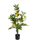 Citronträd 90cm