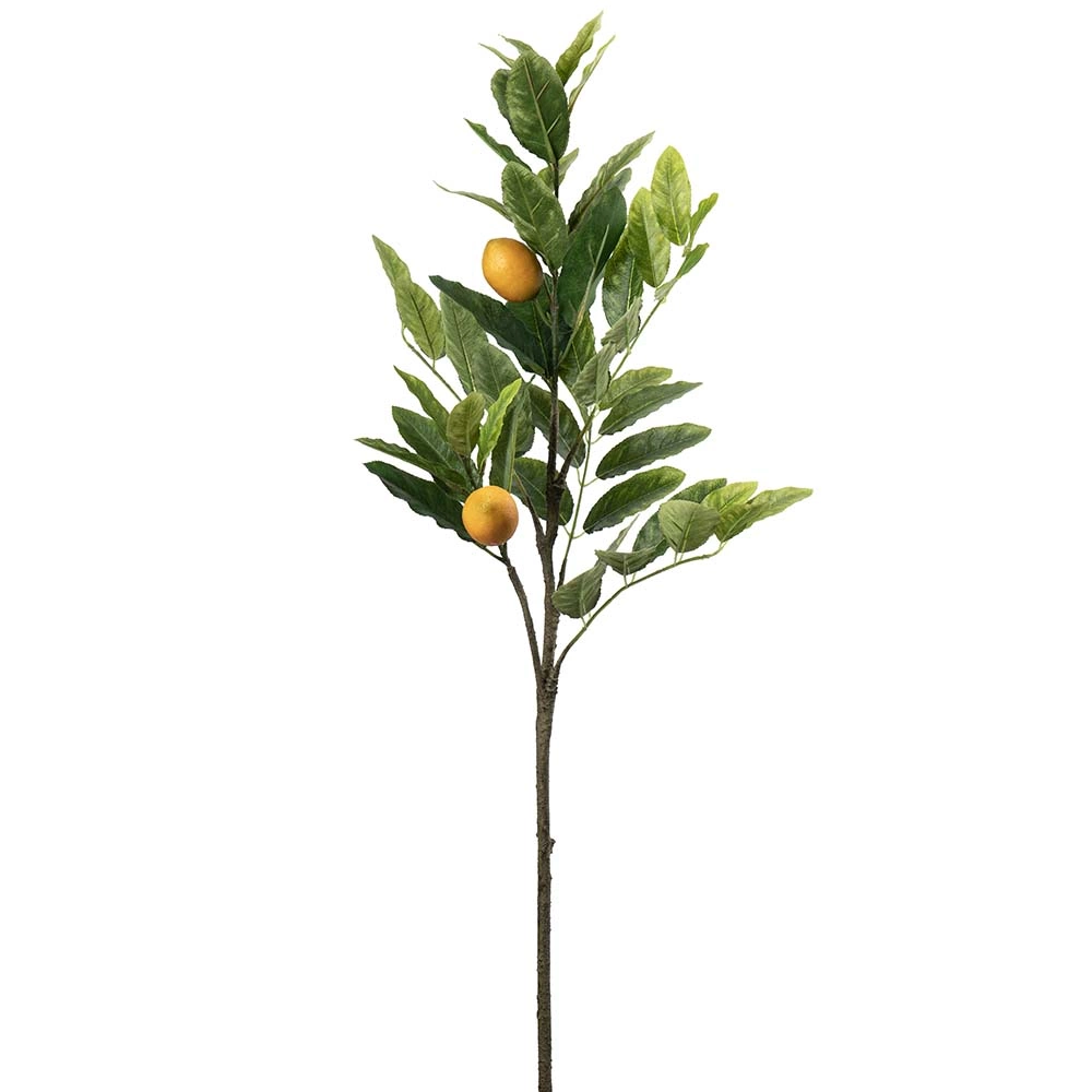Citronkvist 90cm