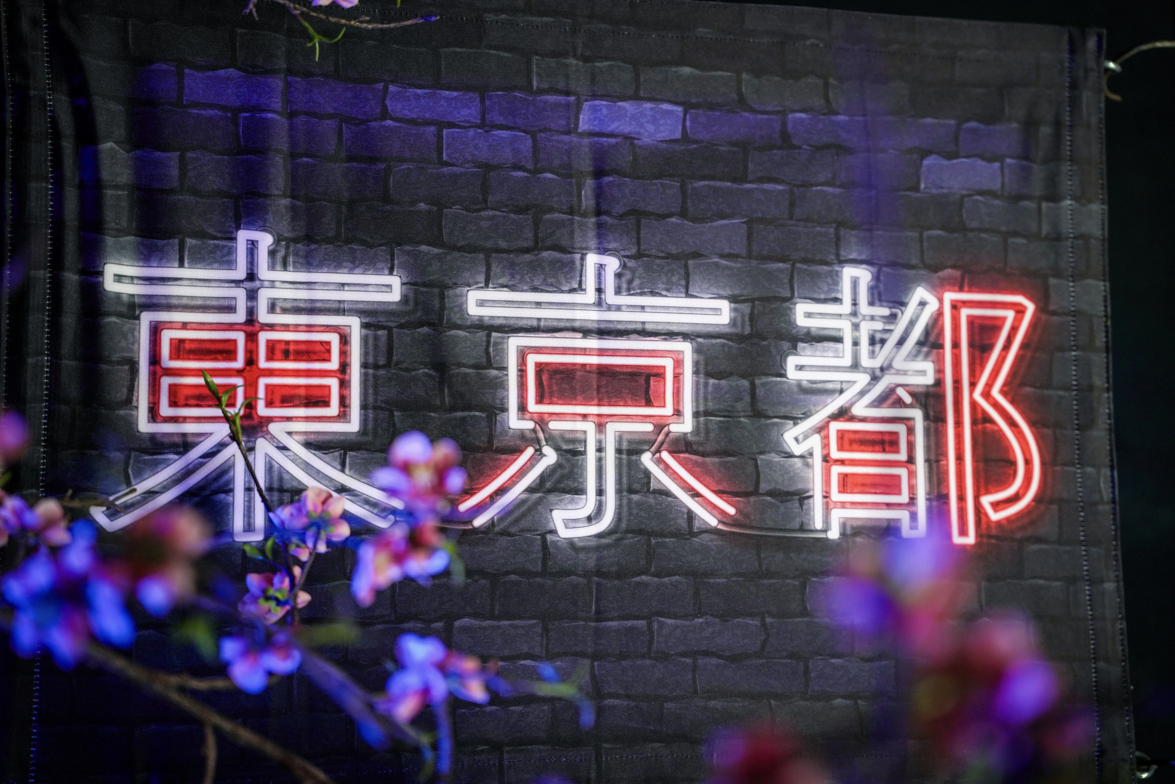 Japan / Tokyo Nights 
