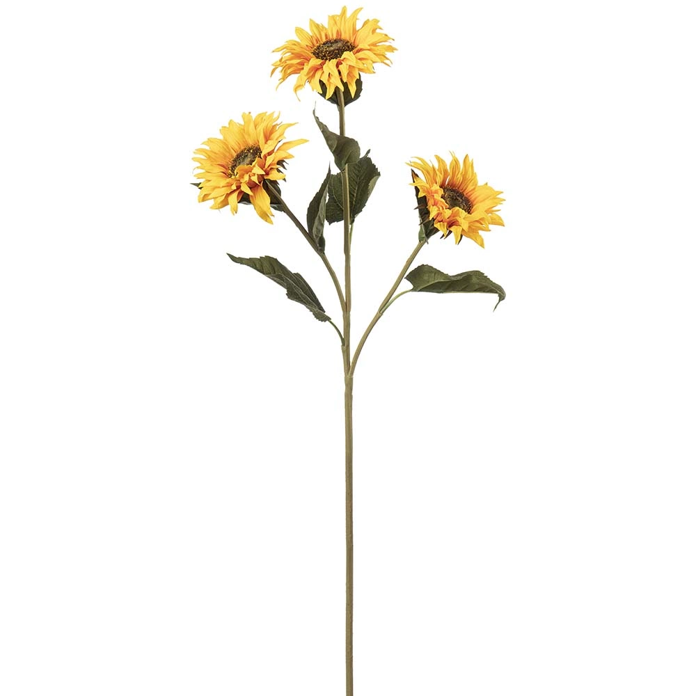 Solros 84cm flergrenad