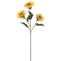 Solros 84cm flergrenad